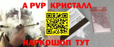 бошки Гатчина