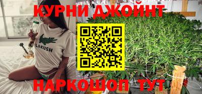 бошки Гатчина