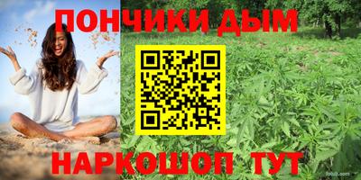 ALPHA PVP Гай