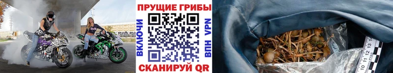 Псилоцибиновые грибы Magic Shrooms  ссылка на мегу ONION  Сыктывкар  где найти наркотики 