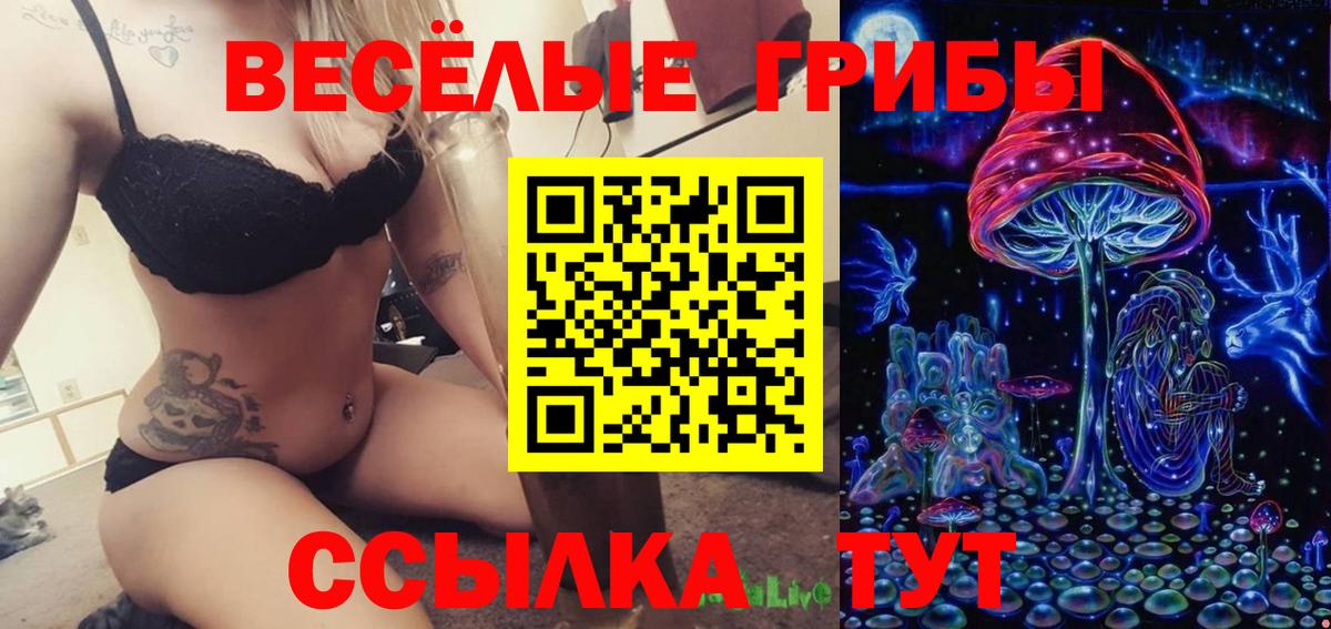 Псилоцибиновые грибы Cubensis  Псилоцибиновые грибы Psilocybine cubensis  Сыктывкар  Вход с VPN 